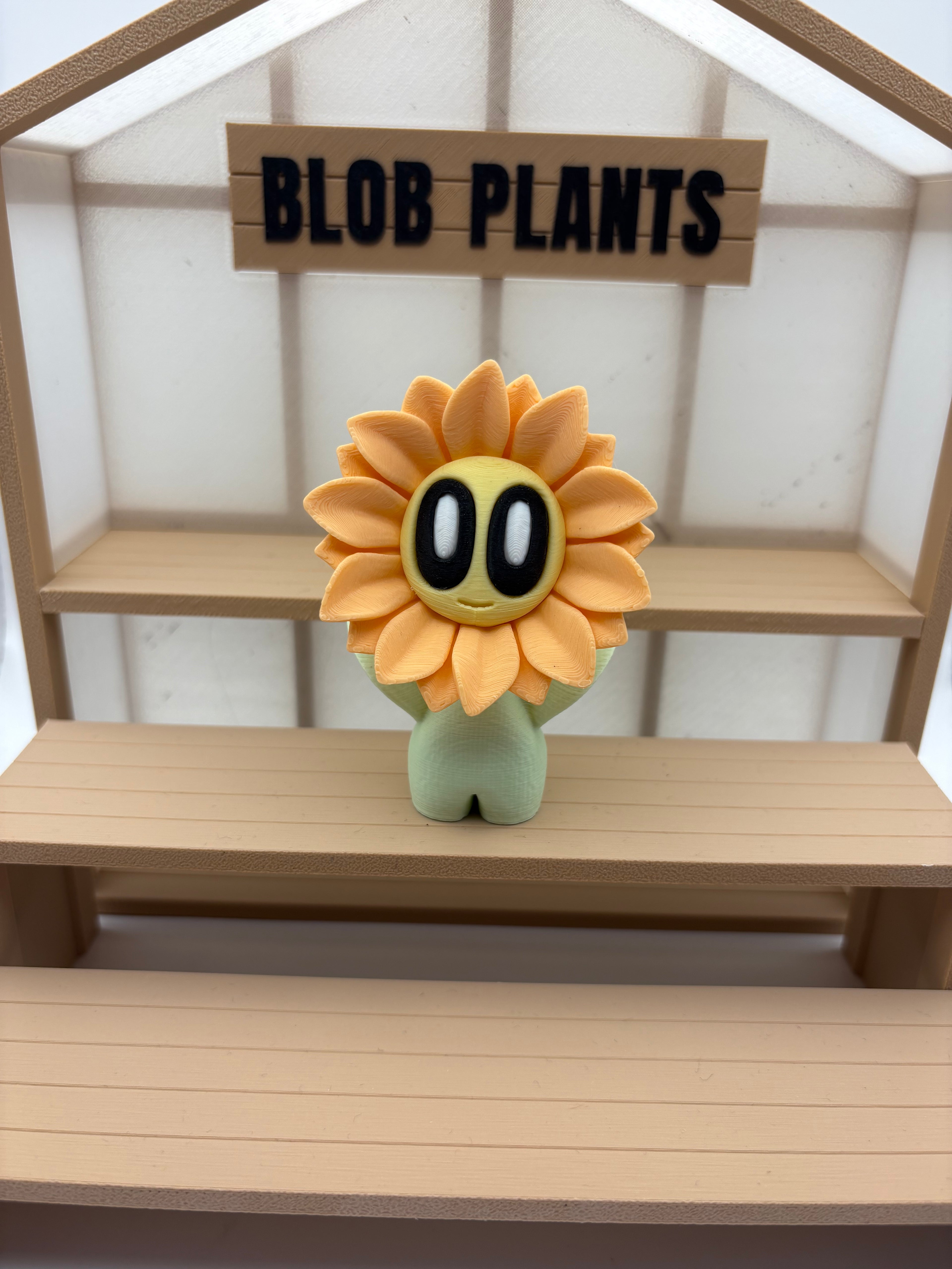 Blob Flowers 🌸