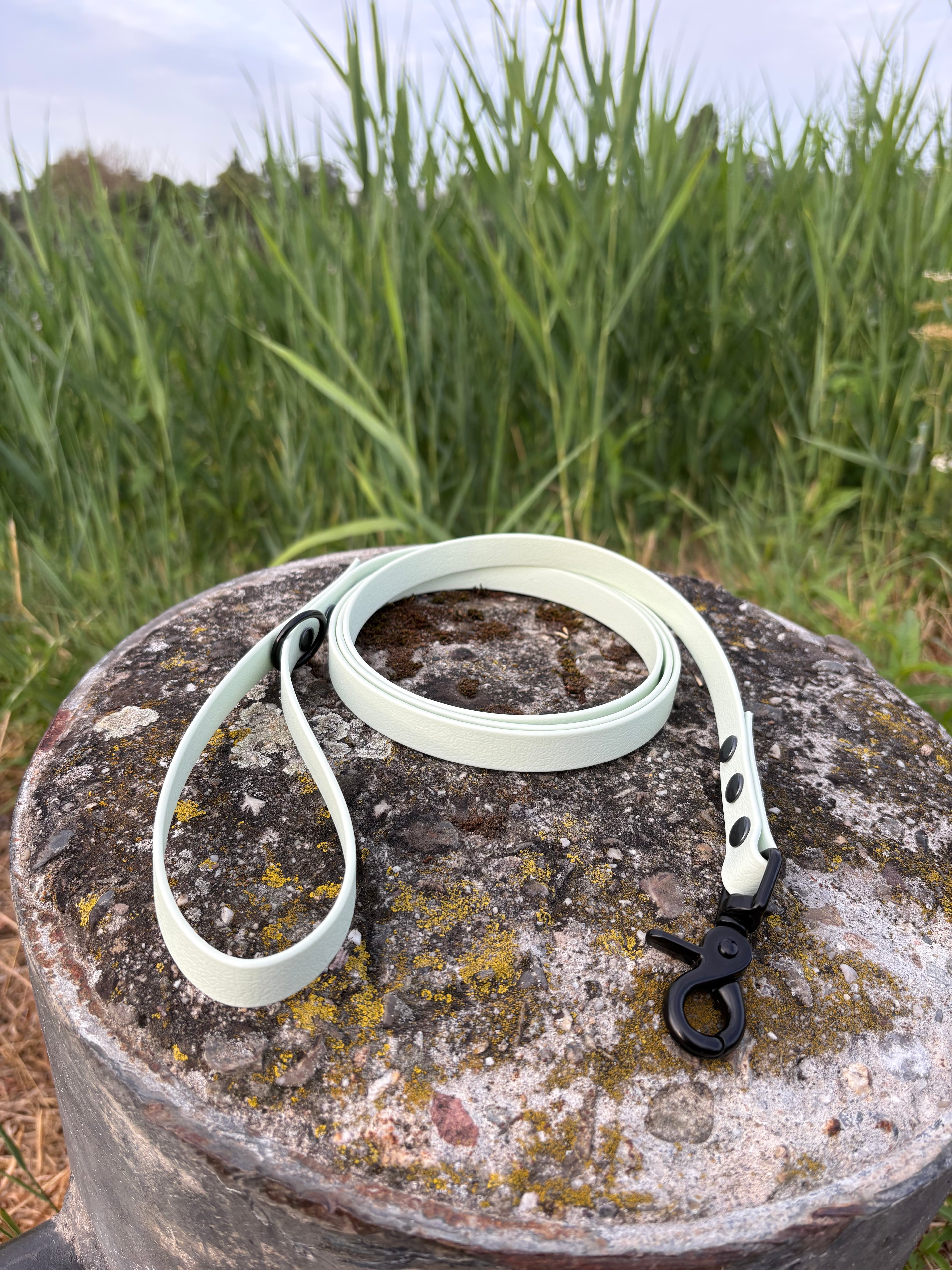🐾PawPearls Biothane Leiband – 1.80 meter