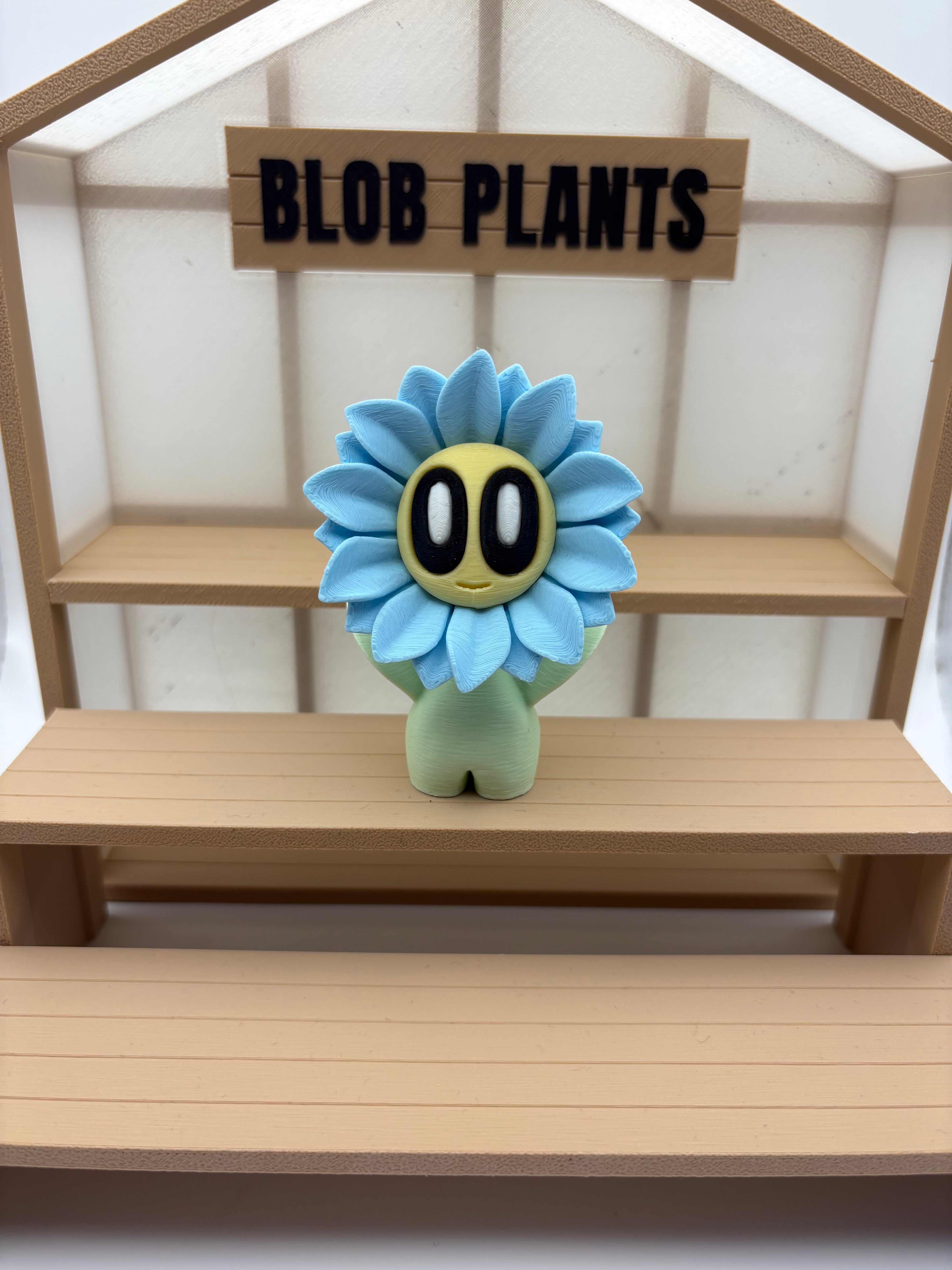 Blob Flowers 🌸