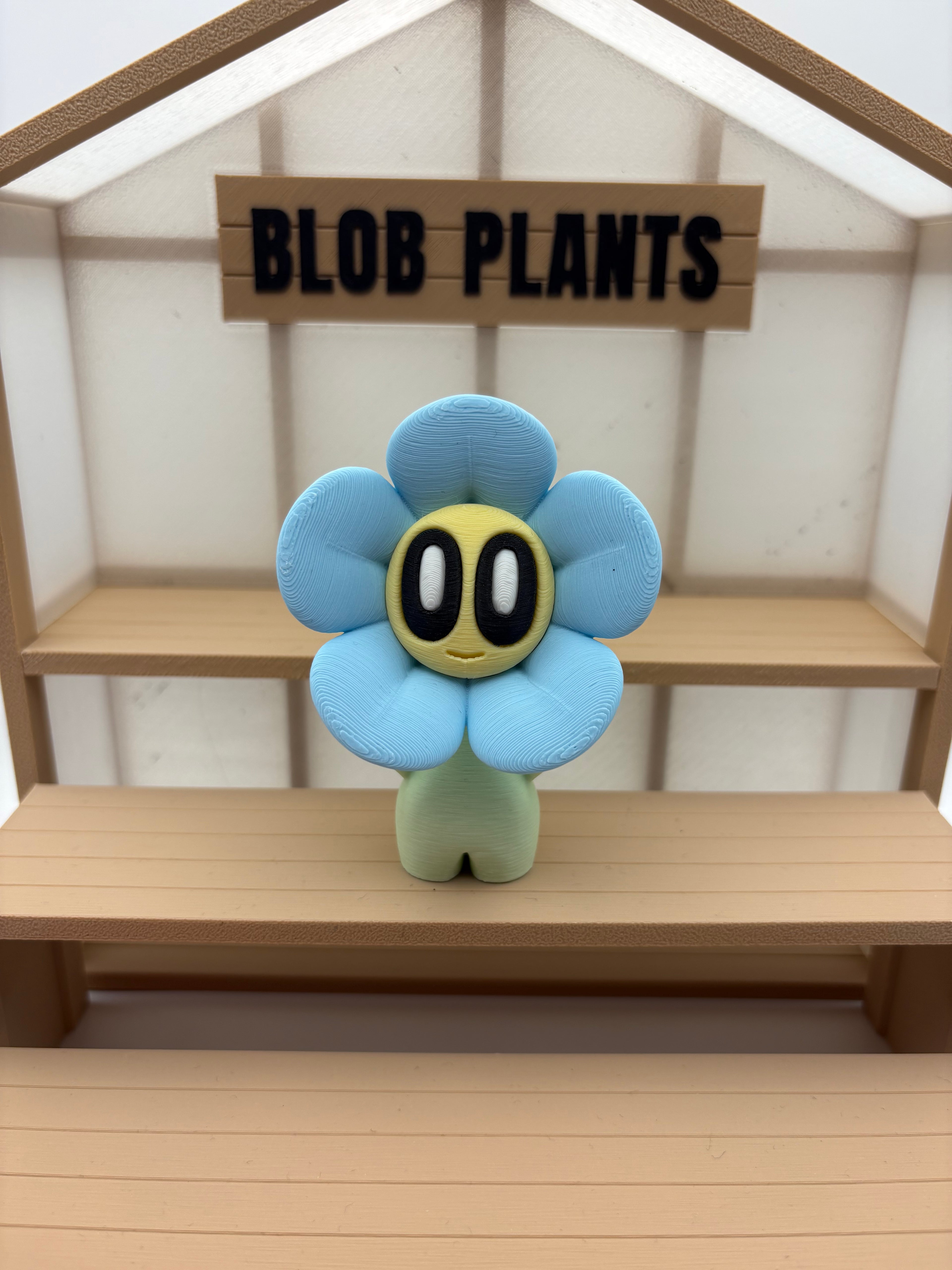 Blob Flowers 🌸