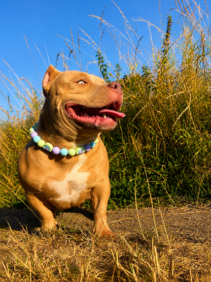 🌈 PawPearls Slip-On Parelketting -  Rainbow Collection