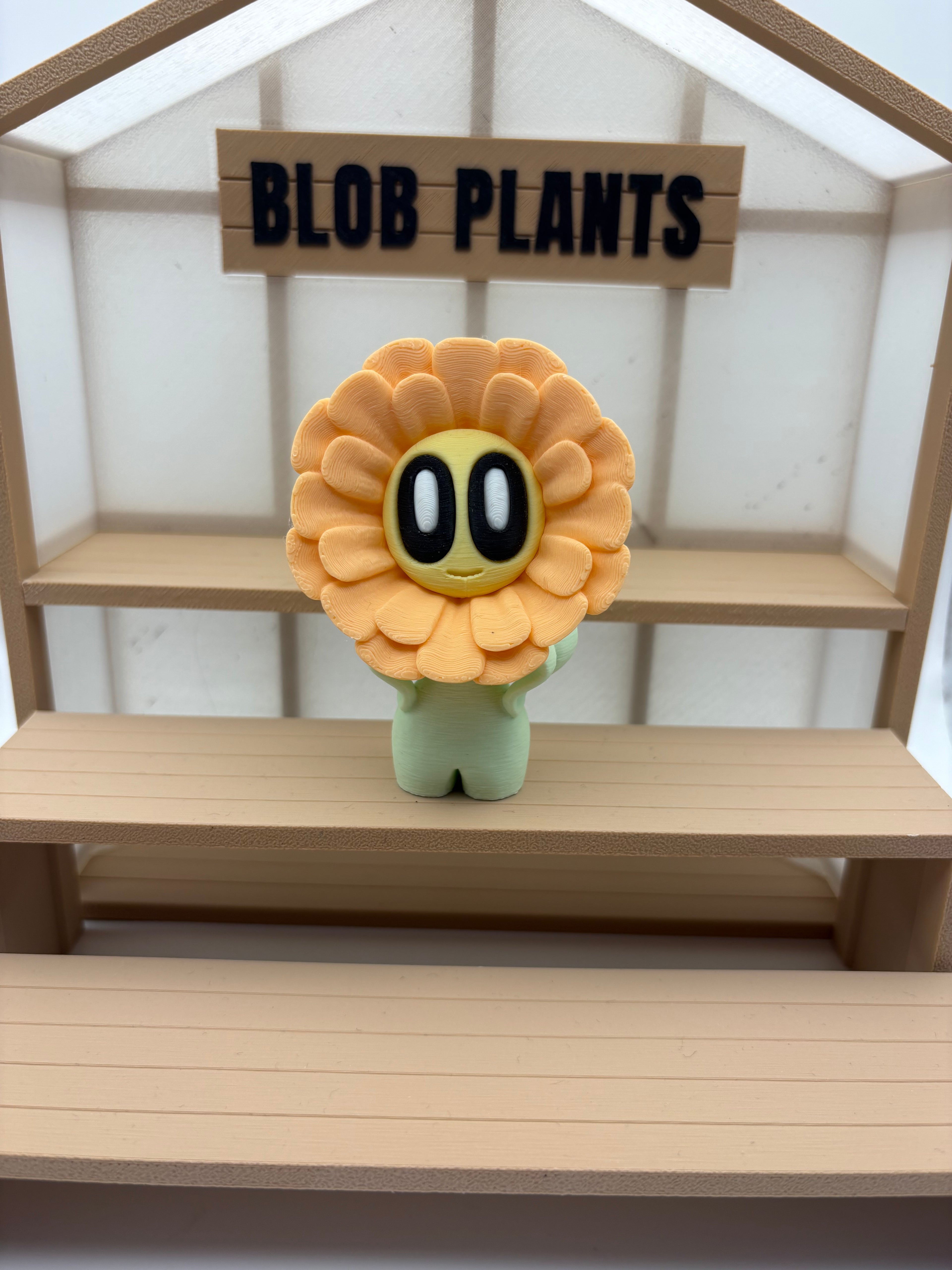 Blob Flowers 🌸
