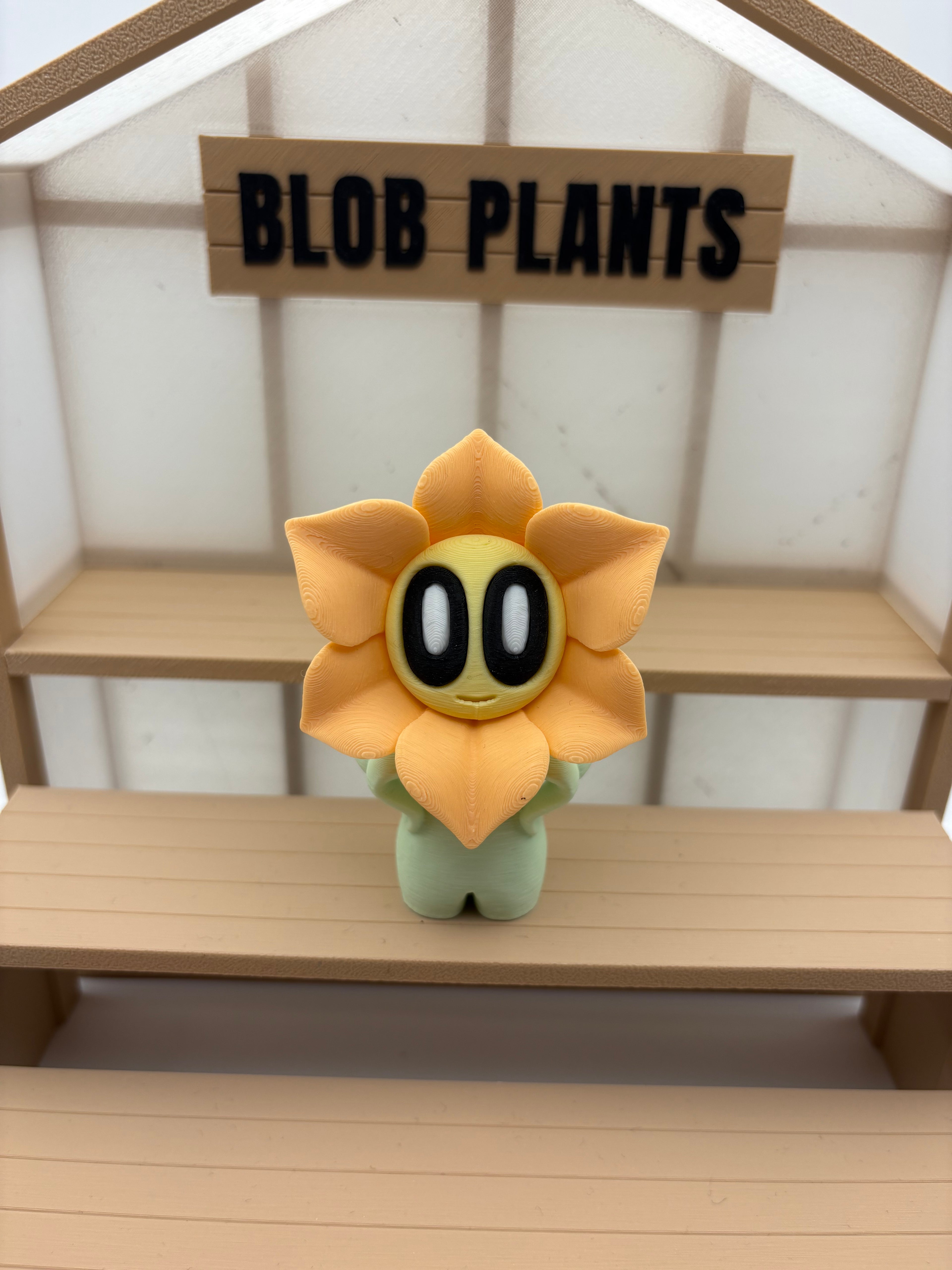 Blob Flowers 🌸