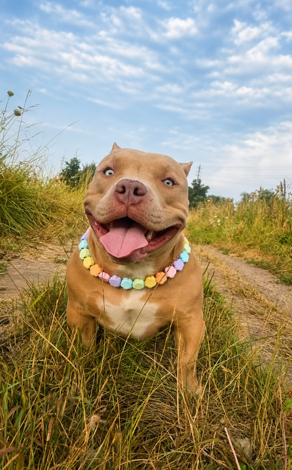 🐾 PawPearls Slip-On Parelketting - Pastel Bloom Collection 🌸