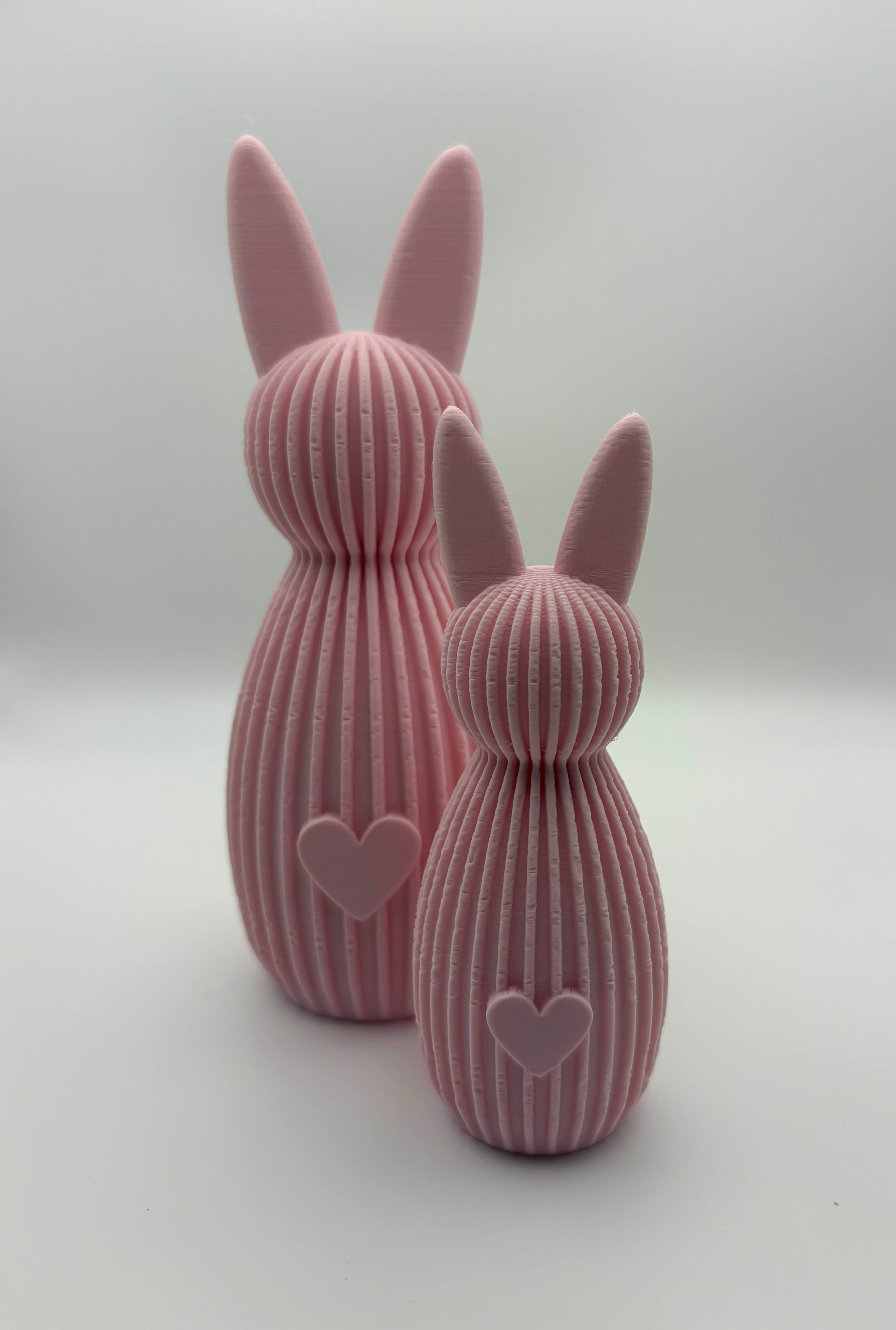 🐰💕 Haasjes met Hartje
