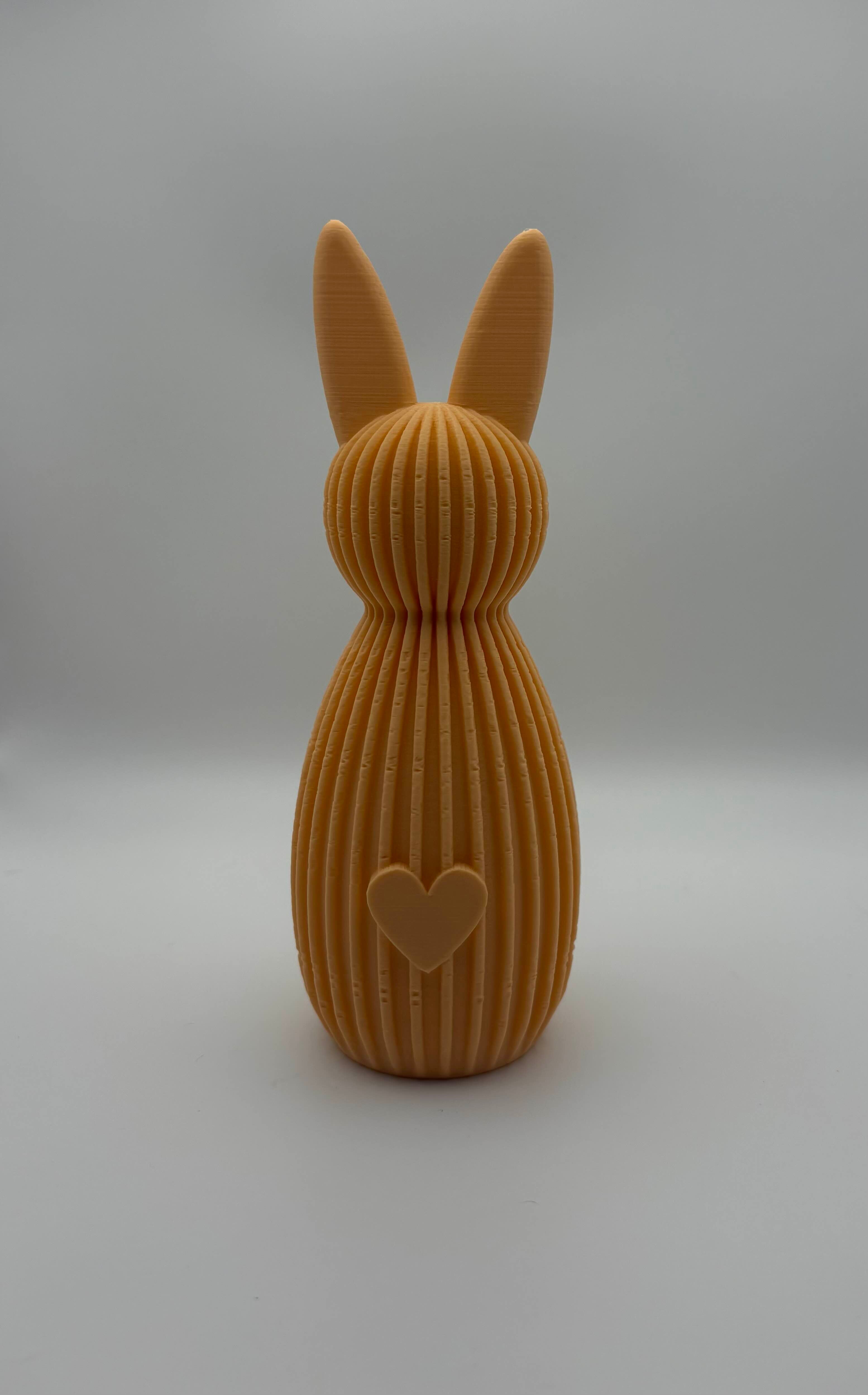 🐰💕 Haasjes met Hartje