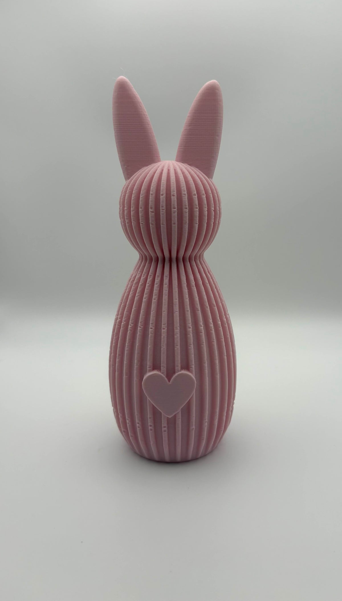 🐰💕 Haasjes met Hartje