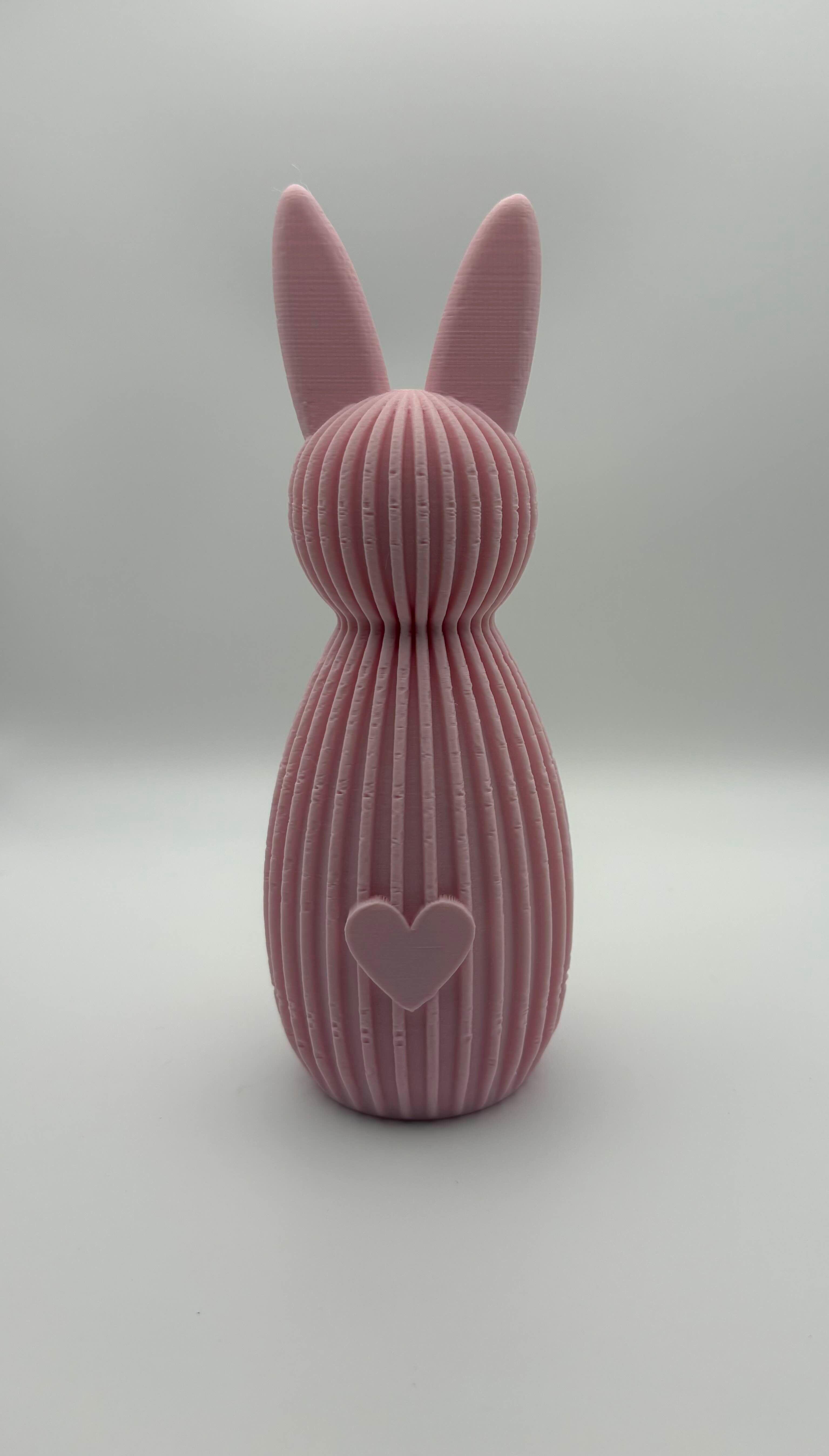 🐰💕 Haasjes met Hartje