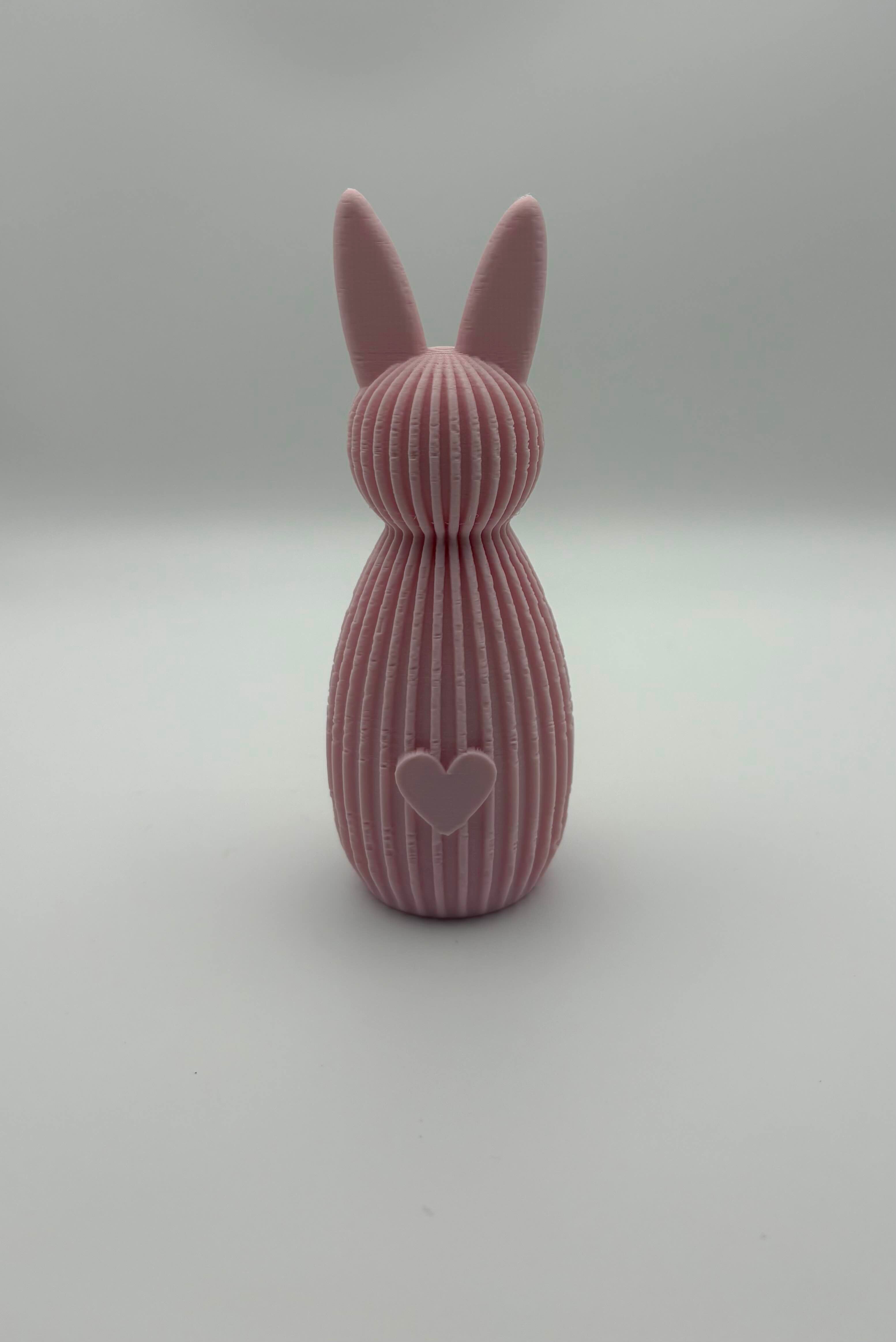 🐰💕 Haasjes met Hartje