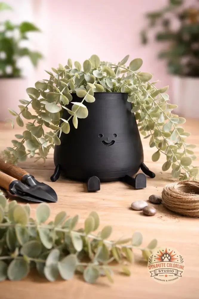 🪴 Vrolijke 3D-geprinte bloempot – uniek design voor jouw plant Woonaccessoires